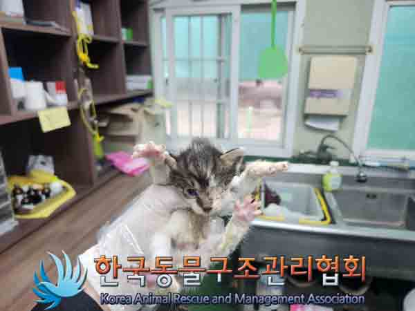 한국동물구조관리협회_441406202401783